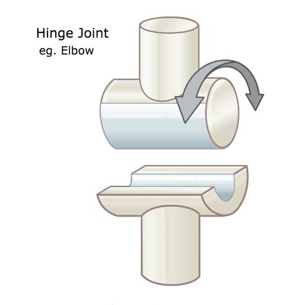 Hinge Joint Model