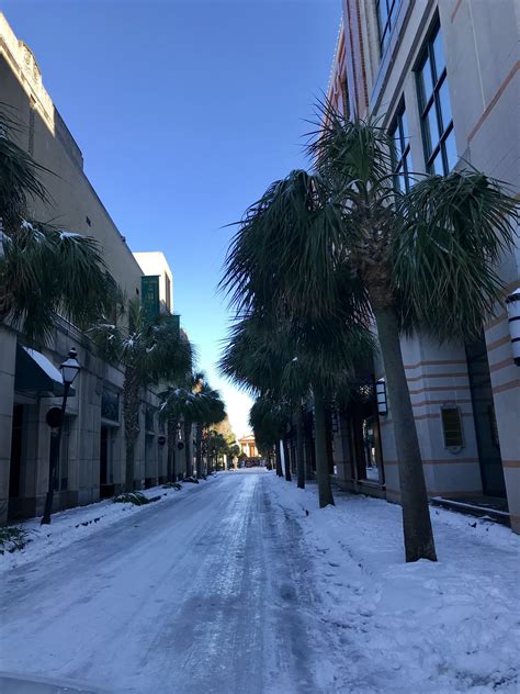 Snow in Charleston, SC | Snow, Outdoor, Charleston