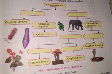 Which kingdom consists of multicellular organisms which have no ...