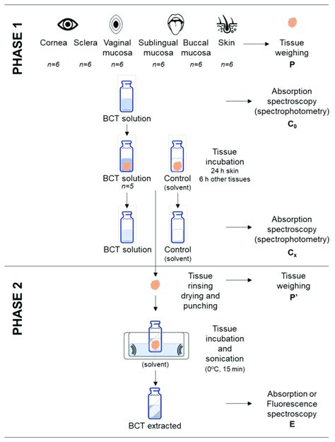 Schematic representation of the recovery process comprising phase 1 ...