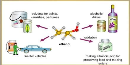 Uses of Ethanol - Assignment Point