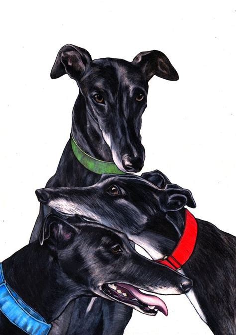 Greyhound drawing limited edition greyhound art print from | Etsy ...