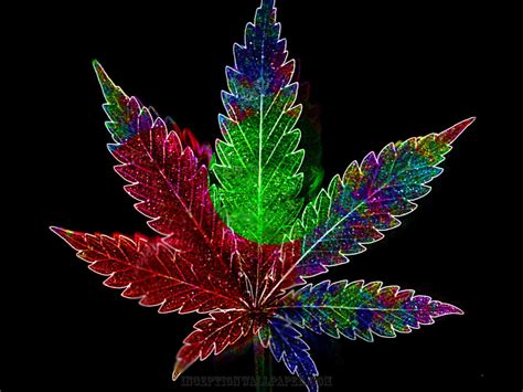 🔥 [90+] Cannabis Wallpapers Desktop | WallpaperSafari