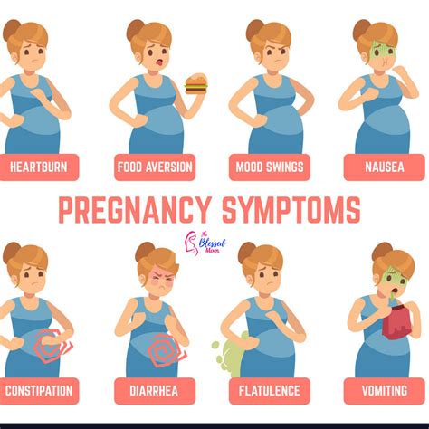 Symptoms Of Pregnancy For A Boy - pregnancysymptoms