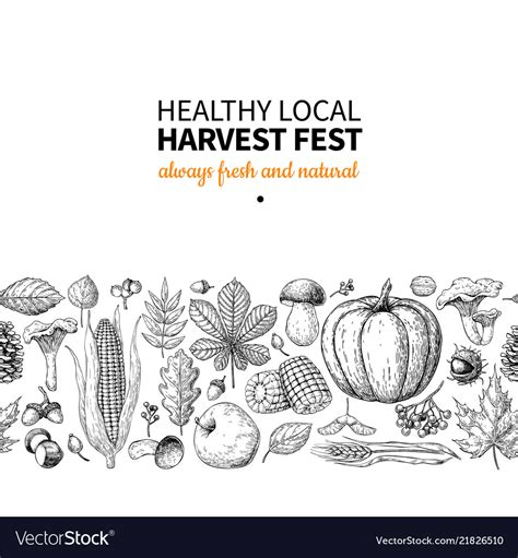 Harvest festival hand drawn vintage border Vector Image