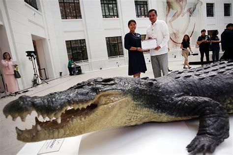 Lolong's replica now at Museum of Natural History | Photos | GMA News ...