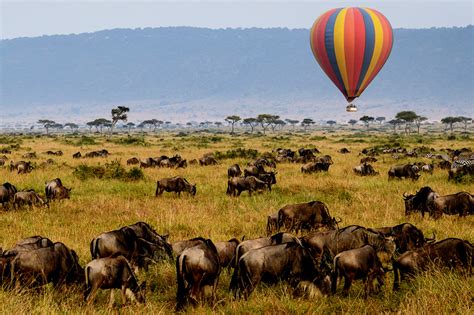 3 days Serengeti balloon safari | Wildebeest Migration | Tanzania Safaris