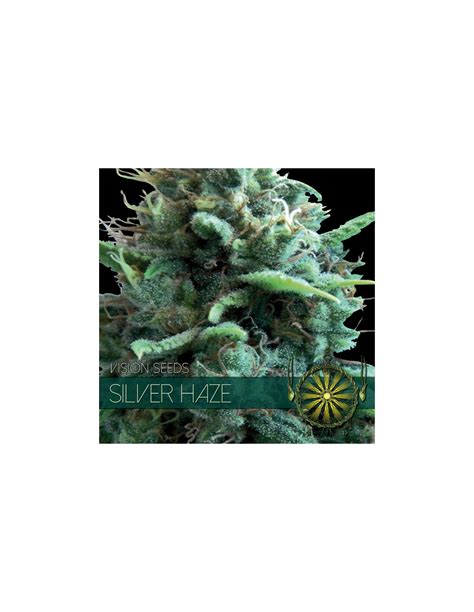 Silver Haze (Vision Seeds) Feminized Seeds | Up To 30% Off