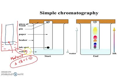 Chromatography Diagram Labeled