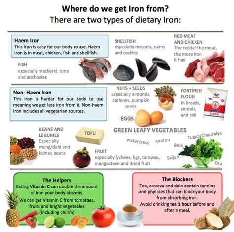 Avoiding Iron Deficiency Anemia on a Flexitarian Diet – Supplefer Sprinkles