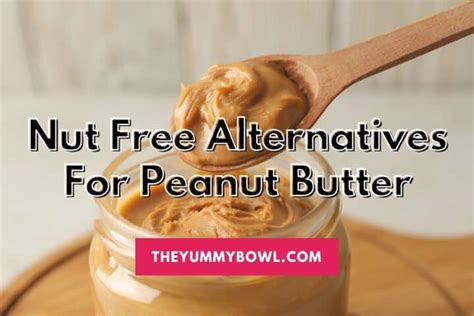 10+ Best Nut Free Alternatives For Peanut Butter Explained! - The Yummy ...