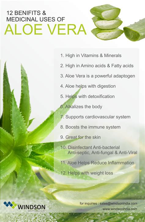 Aloe Vera : 12 Health benefits