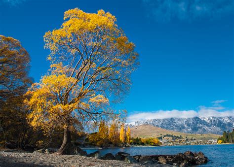 Lake Wakatipu, New Zealand