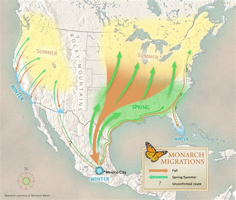 Monarch Butterfly Migration Map For Kids