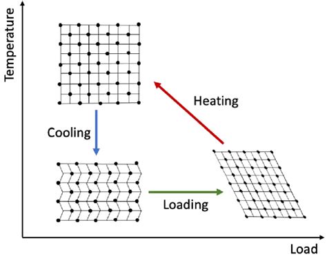 Martensitic transformation of cubic austenite to monoclinic martensite ...