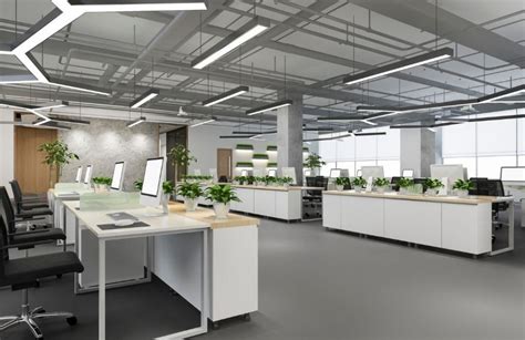 Biophilic Office Design | Biophilic Design in Offices | Future Fitouts