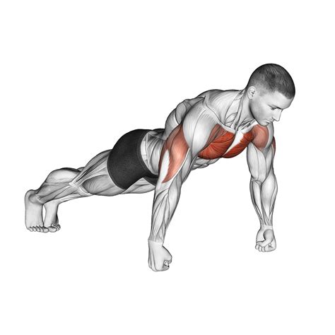 Knuckle Push-Ups: Benefits, Muscles Used, and More – EATS GYM