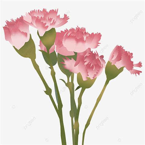 Hand Painted Mother S Day Carnation Free Material, Mother S Day ...