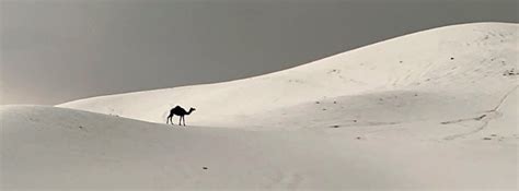 Intense hailstorms sweep through Saudi Arabia - The Watchers