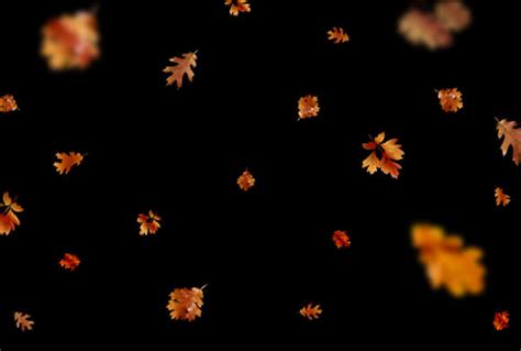 Free Leaf Overlays for Photoshop – 300 Autumn Overlays