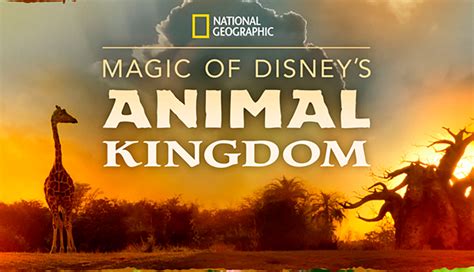 Disney+ Premiers ‘Magic Of Disney’s Animal Kingdom’, A Behind The ...