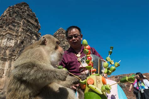 The Great Monkey Temple Feast of Lopburi - Travelogues from Remote Lands