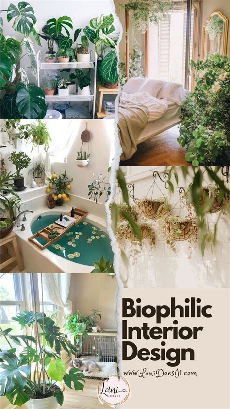 Biophilic Interior Design For An Enchanted Escape Right At Home - Lani ...