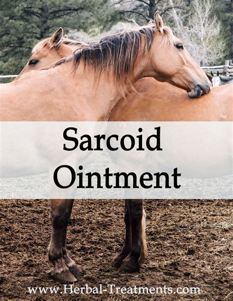 Herbal Treatment - Sarcoid Ointment for Horses - Caraf Avnayt's Herbal ...