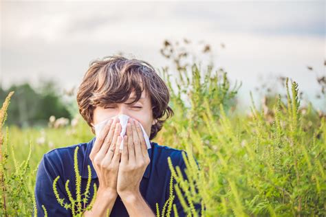 How Should You Prevent Pollen Allergies?