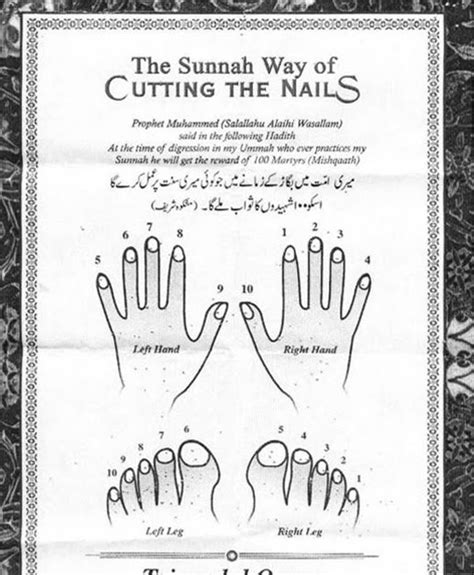 Minemail: Sunnah Way of Cutting Nails‏