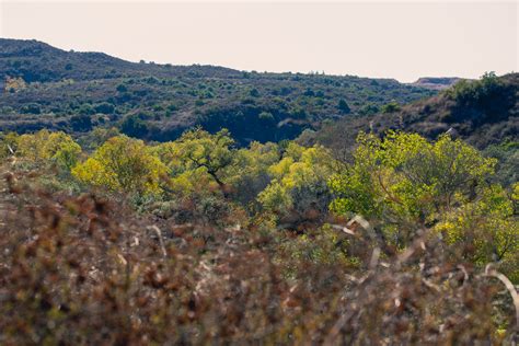 Father Junipero Serra Trail Hiking Guide - The Simple Hiker