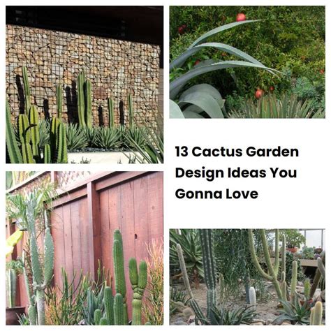 13 Cactus Garden Design Ideas You Gonna Love | SharonSable