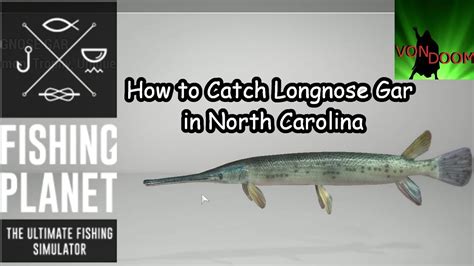 How to catch florida gar fishing planet - lknmprogram