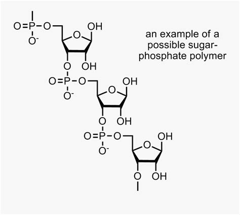 Nucleic Acids Polymer Structure , Free Transparent Clipart - ClipartKey