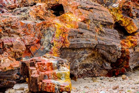 All you need to know about visiting Petrified Forest National Park ...