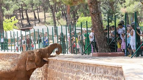 Gaziantep Doğal Yaşam Parkı 62 bin ziyaretçiyi ağırladı