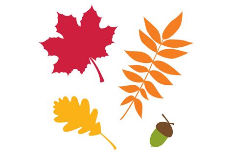 Fall Leaves Clipart Graphic by lattesmile · Creative Fabrica