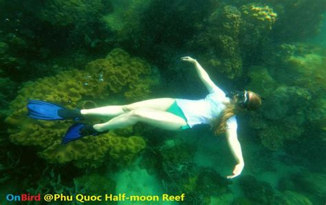 9 tips for your responsible snorkel in Phu Quoc Island - Onbird Phu Quoc