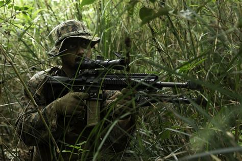 DVIDS - News - Jungle Warfare Exercise: U.S. Marines put littoral ...