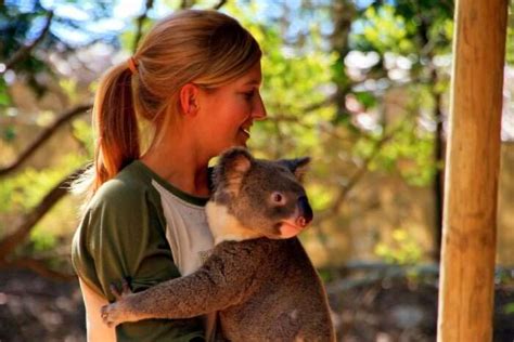 Lone Pine Koala Sanctuary Guide For Aussie Visitors In 2023