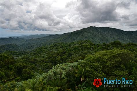 El Yunque National Rainforest, Puerto Rico - 2024 Guide. Need to Know Facts