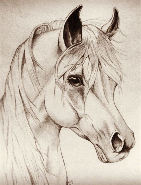 Horse drawing by Patrycia Sulewski.(: Drawn with pencil. | Horse head ...