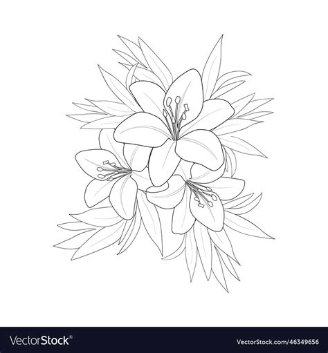 Lily drawing tattoo flower drawing tattoos Vector Image