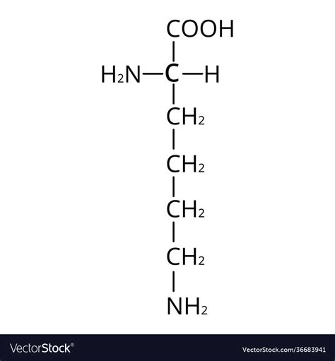 Amino acid lysine chemical molecular formula Vector Image