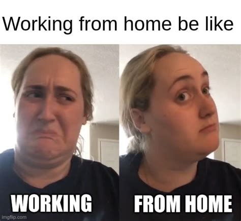 70+ Best work from home memes - Pumble