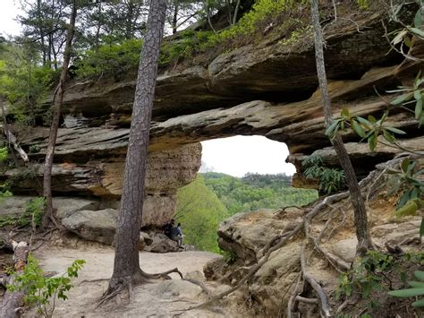 Waterfalls At Red River Gorge