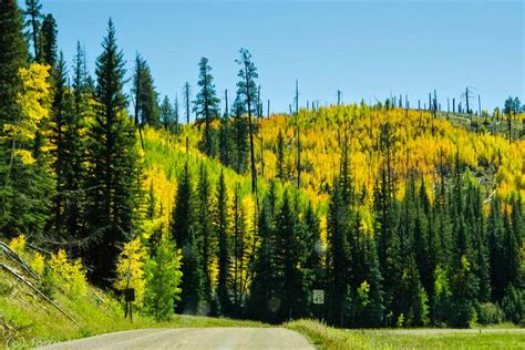 Pacific Northwest Photography: Arizona: Kaibab Plateau