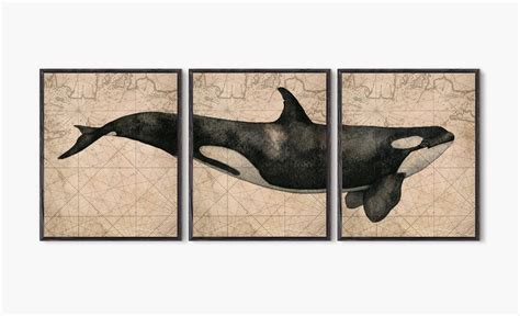 Killer Whale, Orca Whale, Whale Painting, Whale Watercolor, Sea Animals ...