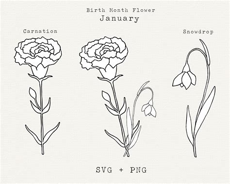 Carnation Flower SVG Snowdrop Flower SVG January Birth Month - Etsy Israel