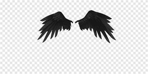 Anime Black Wings Png - Browse and download hd black wings png images ...